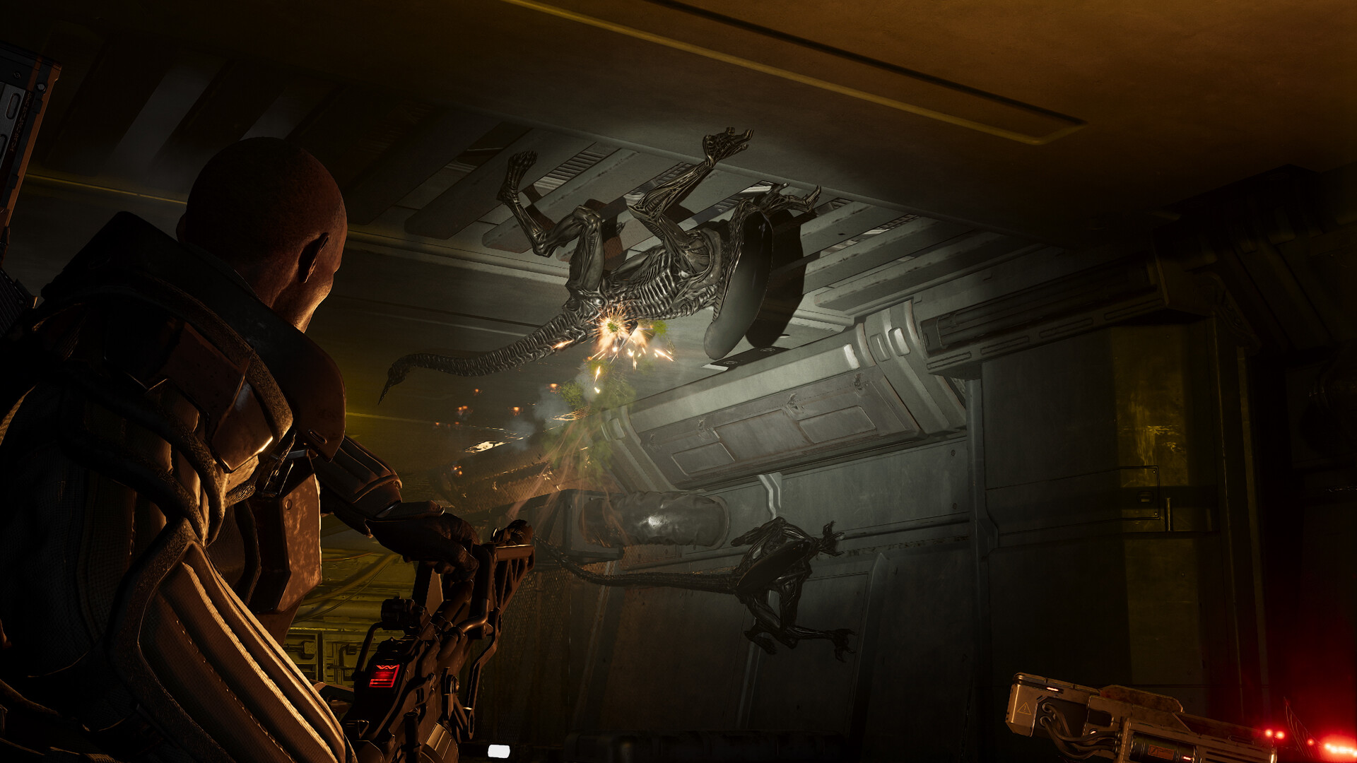 Aliens: Fireteam Elite 2 ya disponible en Xbox Series X|S, PS5 y PC: co-op de cuatro marines, sin Game Pass y con el mejor sistema de clases de la saga