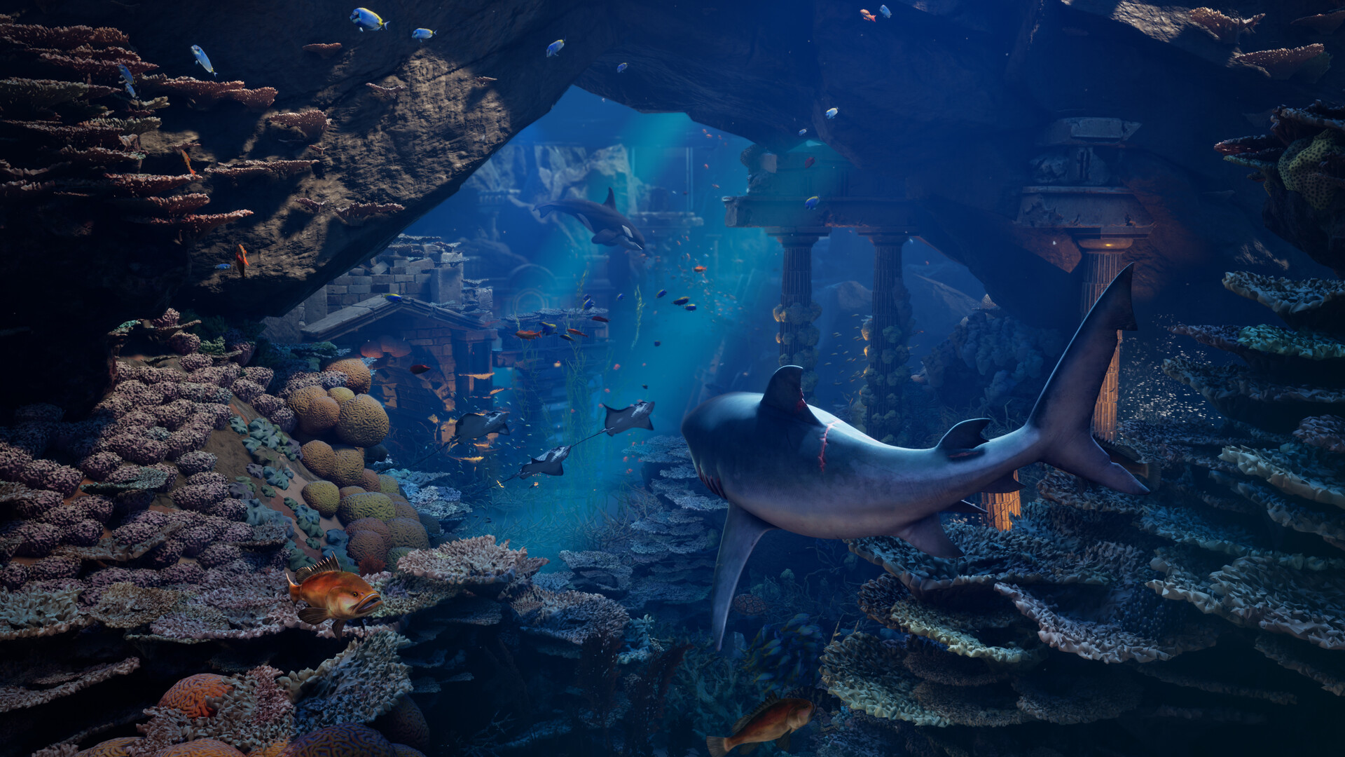 Maneater 2: el tiburon mas letal del mar regresa en un parque acuatico de lujo